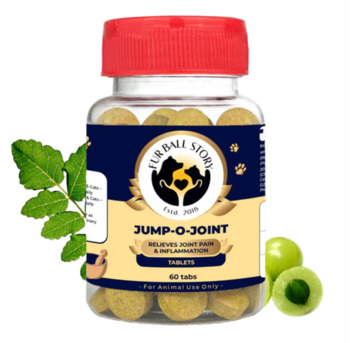 Gurgaon, Pet Sitting, Today&hellip; Your Dog&rsquo;s Joints Finally Spoke