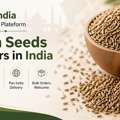 Cumin Seeds Wholesale Suppliers India