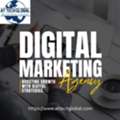 Digital Marketing & Web Development Agency