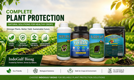 New York, Farm & Garden, USD 70,  Plant Protection For Healthy Crops And Stable Yield &ndash; Get Details Today