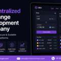 Decentralized Exchange Development Company For Advanced Crypto Trading Platforms