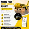 Missed Your Spirit Airlines Flight? Get Instant Support - Classified