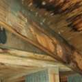 Mold In Your Attic? Poor Ventilation Could Be Destroying Your Home