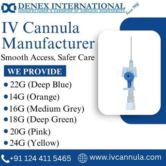 Gurugram, Health, I.v. Cannula Exporter In India - DENEX International