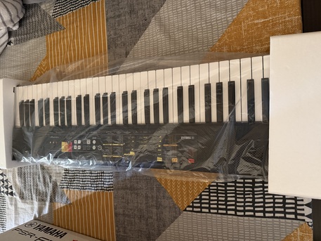 Muharraq, Musical Instruments, BHD 60,  Yamaha Portable Keyboard F-52 For Sale.