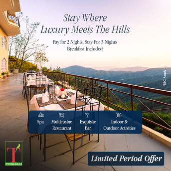 Mumbai, Travel, Best Luxury Hotels And Resorts In Shimla