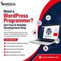 Hire A WordPress Programmer For Fast & Trusted Website Development