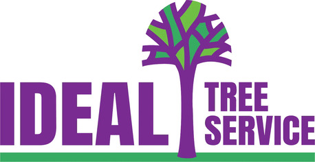 Toronto, Education, Ideal Tree Service