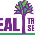 Ideal Tree Service