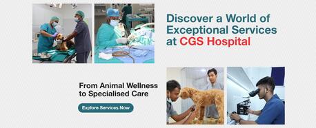Gurgaon, Health, Emergency Veterinary Hospital In Gurgaon  | CGS Hospital