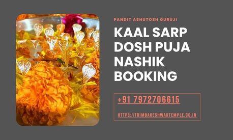 Mumbai, Business, Kaal Sarp Dosh Puja Nashik Booking