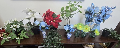 Manama, Furniture, BHD 7,  Small Beautiful Indort Plants/ Flower From IKEA