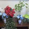 BHD 7,  Small Beautiful Indort Plants/ Flower From IKEA