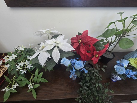 Manama, Furniture, BHD 7,  Small Beautiful Indort Plants/ Flower From IKEA