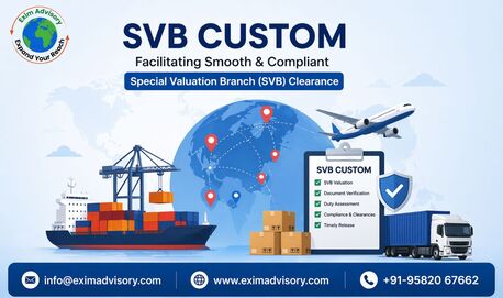 Noida, Legal, Simplify SVB Custom Compliance Process | Exim Advisory