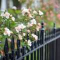 Expert Residential Security Fence Installation & Servicing In London