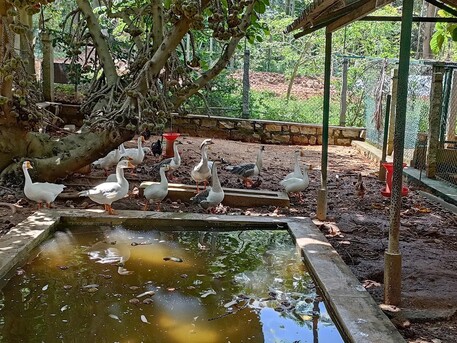 Bangalore, Travel, Safe Kids Adventure Resort Near Bangalore