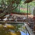 Safe Kids Adventure Resort Near Bangalore