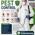 Pest Control Riyadh Cockroach Control Trust