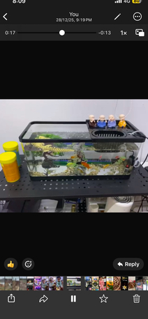 Riyadh, Household Items, SAR 300,  Fish Aquarium Set ( Tank , Pump, Food Etc )