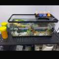 SAR 300,  Fish Aquarium Set ( Tank , Pump, Food Etc )