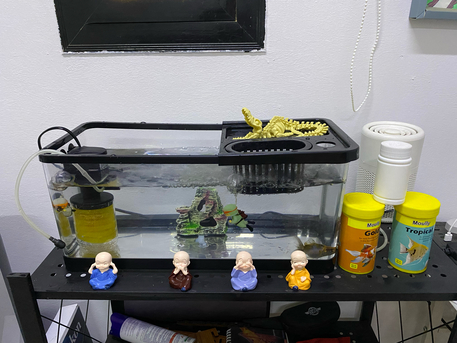 Riyadh, Household Items, SAR 300,  Fish Aquarium Set ( Tank , Pump, Food Etc )