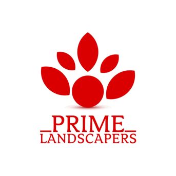 New York, Business, Lawn Sod Installation Near Me For Fast And Reliable Local Services