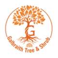 Complete Tree Maintenance Services &ndash; Safe & Affordable