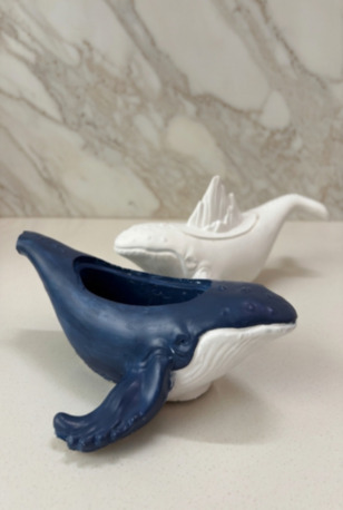 New Delhi, Household, Whale Jar