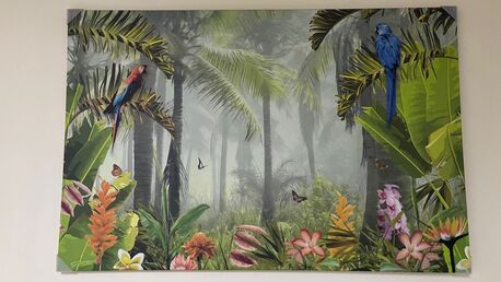 Al Malaz, Household Items, Amazing Decorative Frames