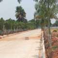 INR 24999,  200 Sq. Yard,  Plots For Sale In Kandukur - Mirkhanpet Near ORR, Srisailam Highway