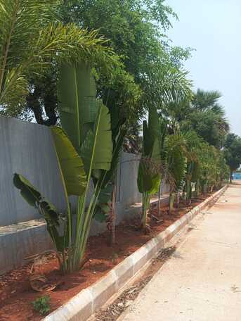 Hyderabad, Residential Plots, INR 24999,  180 Sq. Yard,  Casa Dale HMDA Plots In Kandukur Hyderabad Near Futurecity 9701498367