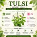 INR 580,  Tulsi Juice Benefits For Skin Care And Immunity Boost