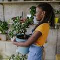Faux Plants Indoor