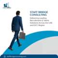 Staff Bridge Consulting: Propel Your Career In The UAE Fast