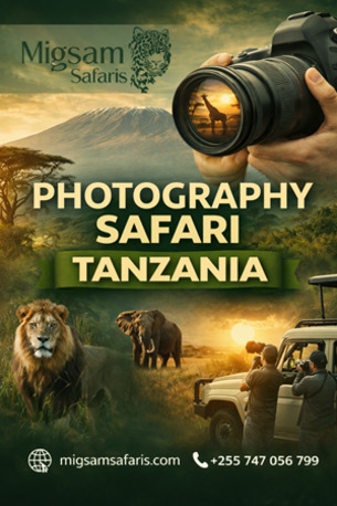 Dar es Salaam, Travel, Join Tanzania Photo Safari &ndash; Stunning Wildlife Shots Await