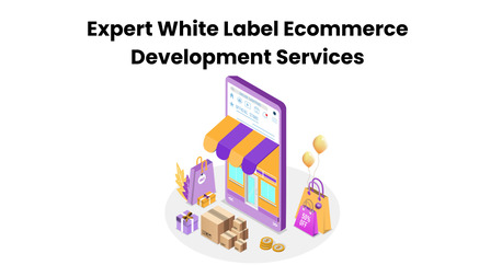 Dallas, Software Development, Expert White Label Ecommerce Development Services