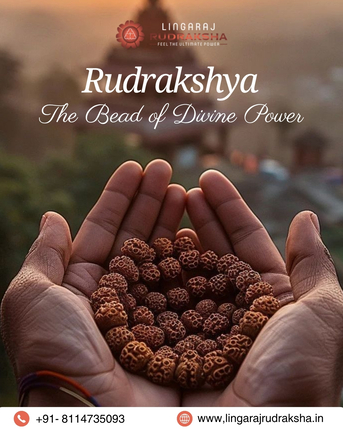 Kolkata, Jewelry, Best Rudraksha Shop In Berhampur
