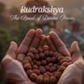 Best Rudraksha Shop In Berhampur