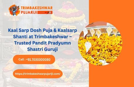 Mumbai, Business, Best Place For Kaal Sarp Dosh Puja | Kaalsarp Shanti At Trimbakeshwar