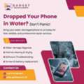 Phone Repair Maidenhead: Dropped Your Phone In Water? Fast Fix Solutions