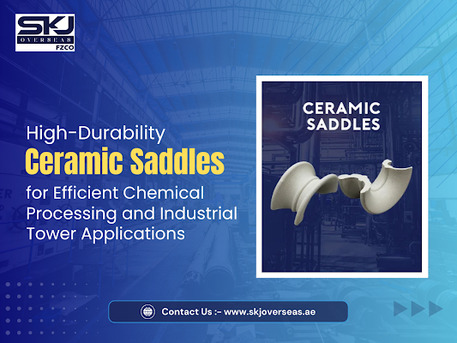 Silicon Oasis, Materials, Reliable Saddle Manufacturers For High Efficiency Tower Packing