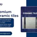 High Quality Ceramic Tiles Manufacturers In India Now