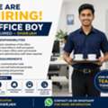 Office Boy Needed &ndash; Salary + Benefits In Sharjah