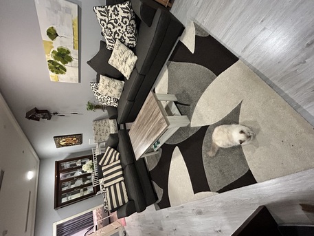 Mahooz, Furniture, BHD 625,  Household Items For Sale