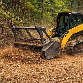 New York, Business, Texas PureScapes | Landscaper | Forestry Clearing Services Cedar Creek, TX