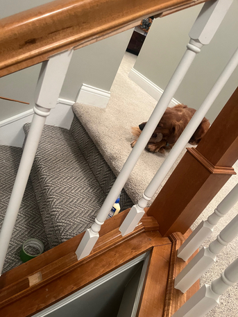 New York, Construction, Noma Home Pros