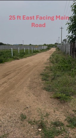 Hyderabad, Real Estate For Sale, INR 7500,  36300 Sq. Yard,  Urgent Sale: Premium North-East Facing Farmland Near Mannan College, Chevella (Aloor 2)