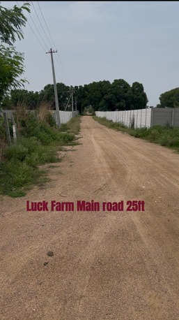 Hyderabad, Real Estate For Sale, INR 7500,  36300 Sq. Yard,  Urgent Sale: Premium North-East Facing Farmland Near Mannan College, Chevella (Aloor 2)