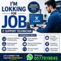 IT Support Technician &ndash; I Am Looking For A Job